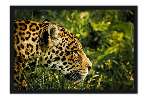 Poster Onça - Animais