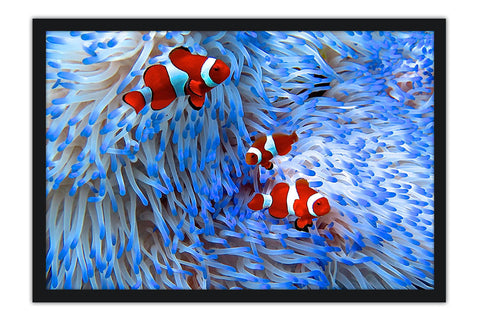 Poster Peixes - Animais