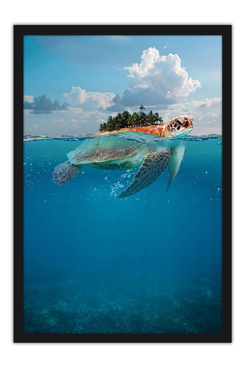 Poster Tartaruga - Animais