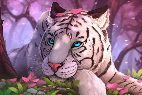 Poster Tigre - Animais