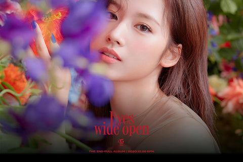 Poster Twice – K-Pop