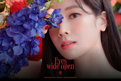 Poster Twice – K-Pop