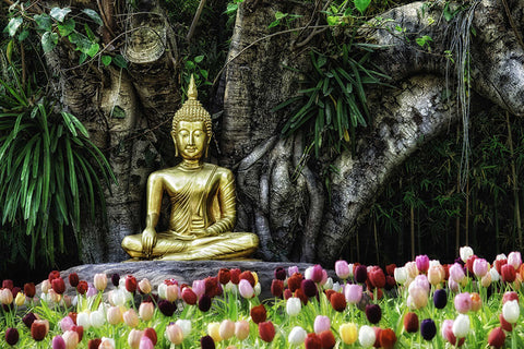 Poster Budha - Religião
