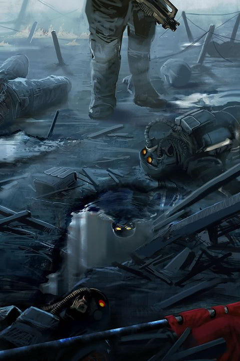 Poster Killzone Killzone Liberation - Games
