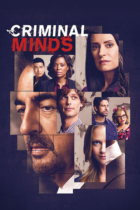 Poster Criminal Minds - Mentes Criminosas - Séries
