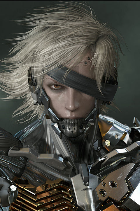 Poster Metal Gear Rising - Games