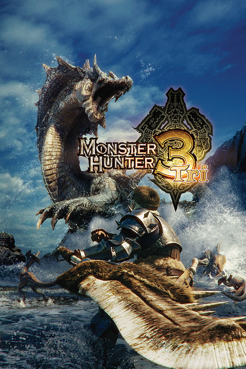 Poster Monster Hunter - Games