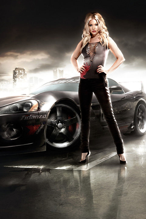 Poster Race Driver Grid - Games