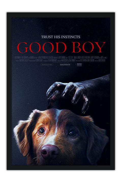 Poster Bom Menino - Good Boy - Terror - Filmes