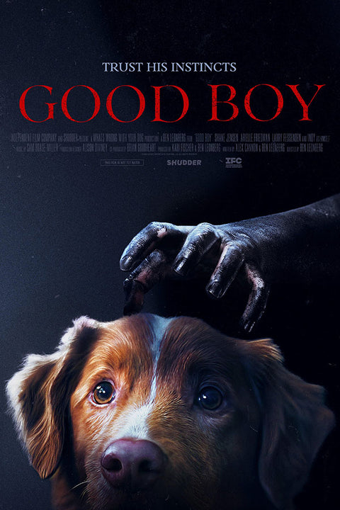 Poster Bom Menino - Good Boy - Terror - Filmes