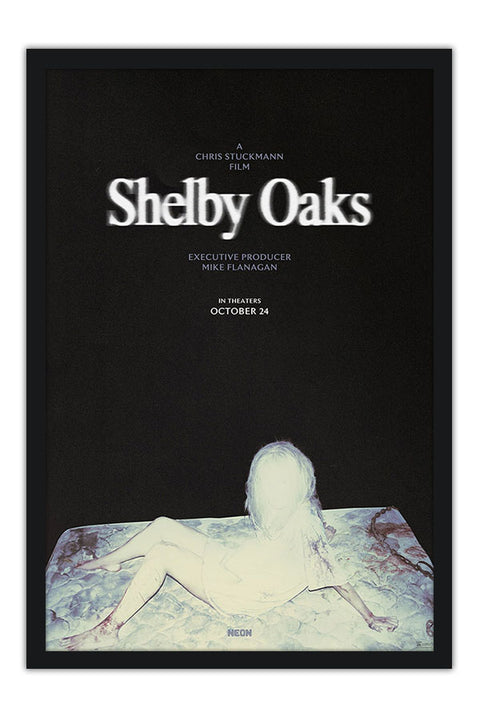 Poster Terror em Shelby Oaks - Filmes