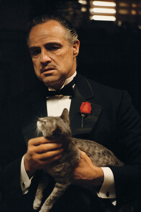 Poster The Godfather - O Poderoso Chefão - Filmes de Máfia