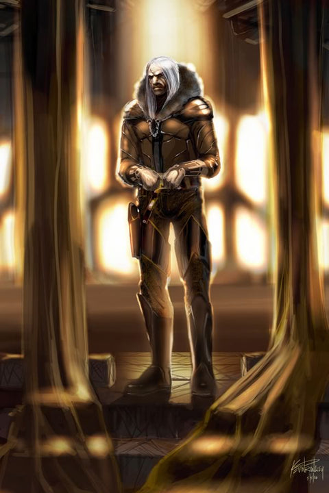 Poster Star Wars - Tyber Zann - Games