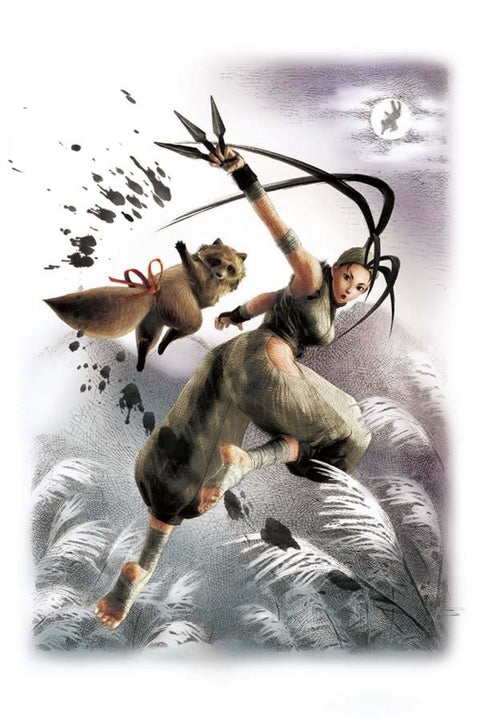 Poster Super Street Fighter - Ibuki - Games
