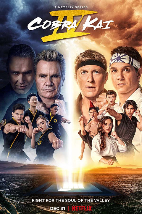 Poster Cobra Kai - Karate Kid - Séries