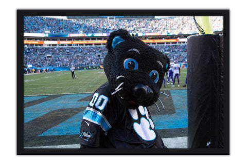 Poster Carolina Panthers - Futebol Americano - NFL