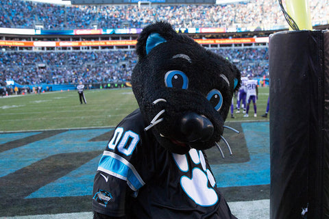 Poster Carolina Panthers - Futebol Americano - NFL