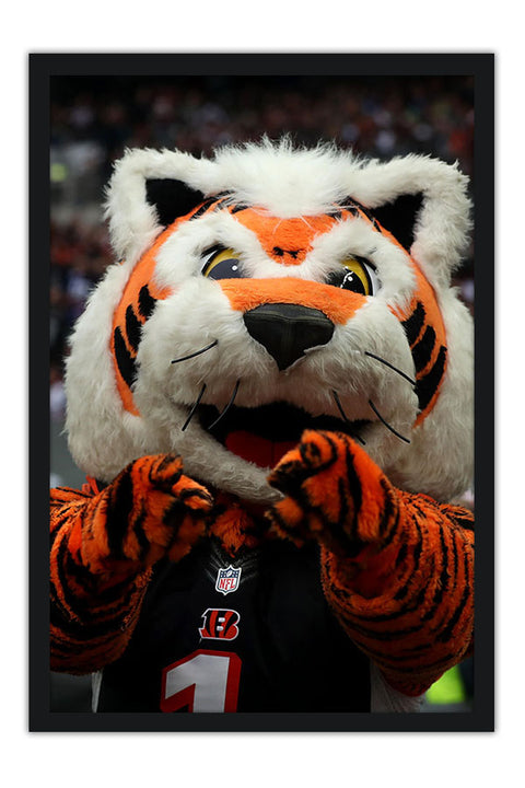 Poster Cincinnati Benga - Futebol Americano - NFL