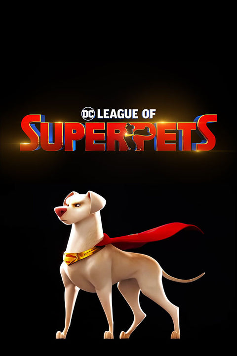 Poster DC Liga dos Super Pets - Infantil