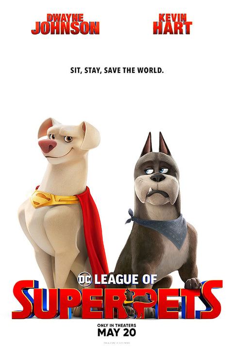 Poster DC Liga dos Super Pets - Infantil