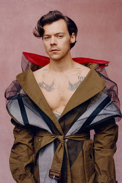 Poster Harry Styles - Ator - Música - Artistas Pop