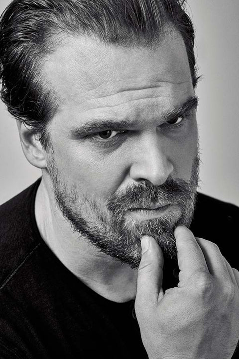Poster David Harbour - Stranger Things - Ator - Séries