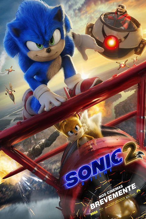 Poster Sonic 2 - Filmes - Infantil