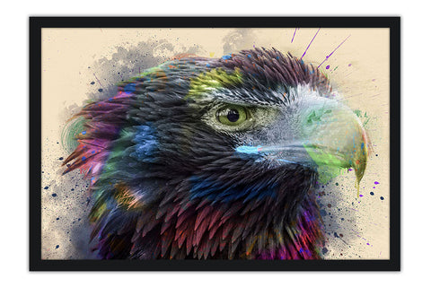 Poster Águia - Pássaros - Passarinhos - Aves - Animais