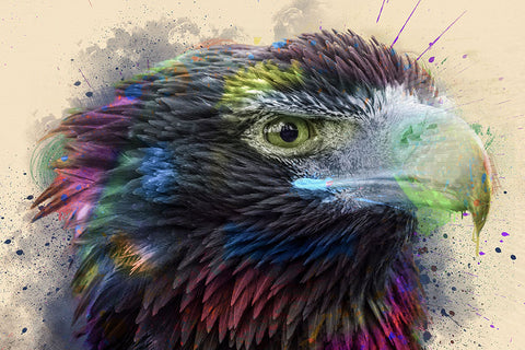 Poster Águia - Pássaros - Passarinhos - Aves - Animais