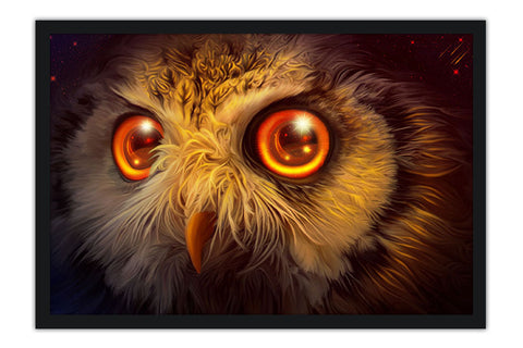 Poster Coruja - Pássaros - Passarinhos - Aves - Animais