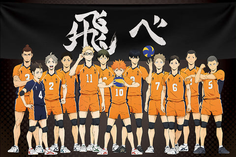 Poster Haikyuu!! - Animes