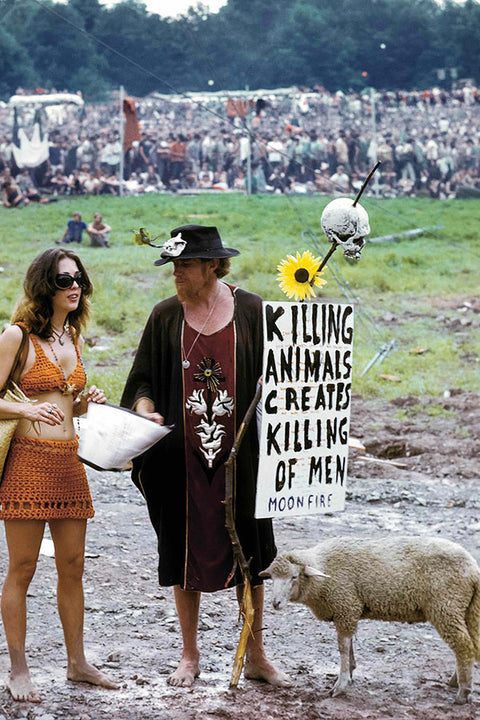 Poster Woodstock - Festival