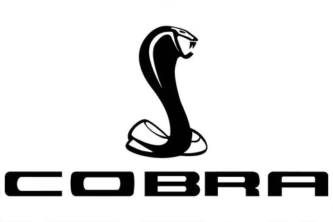 Poster Ford Shelby Cobra - Carros