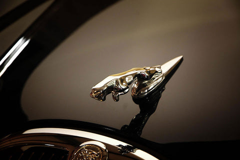 Poster Jaguar - Carros