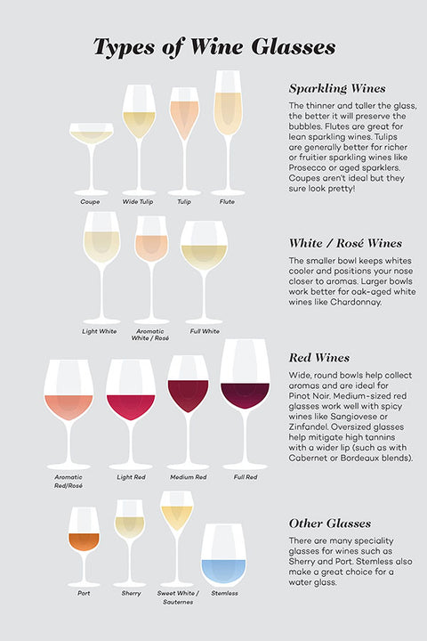 Poster Tipos de Taças de Vinho - Types of Wine Glasses - Frases - Informativo - Utilidades - Etiqueta