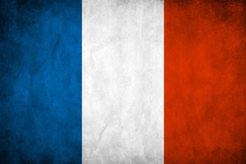 Poster Bandeira da França Estilo Grunge