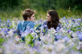 Poster Crepúsculo - Lua nova- Amanhecer - Eclipse - Filmes