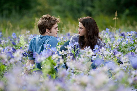 Poster Crepúsculo - Lua nova- Amanhecer - Eclipse - Filmes