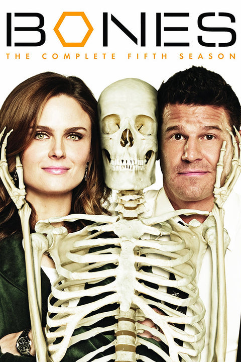 Poster Bones 1ª Temporada - Séries