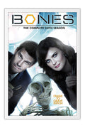 Poster Bones 1ª Temporada - Séries
