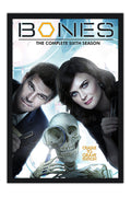 Poster Bones 1ª Temporada - Séries