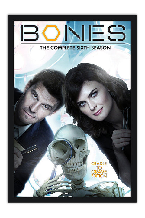 Poster Bones 1ª Temporada - Séries