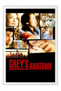 Poster Greys Anatomy 1ª Temporada - Séries