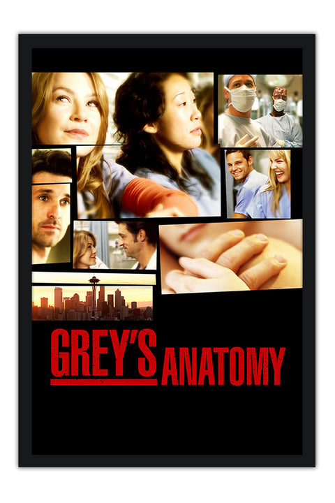 Poster Greys Anatomy 1ª Temporada - Séries