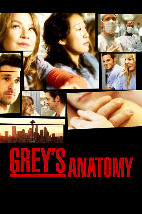 Poster Greys Anatomy 1ª Temporada - Séries