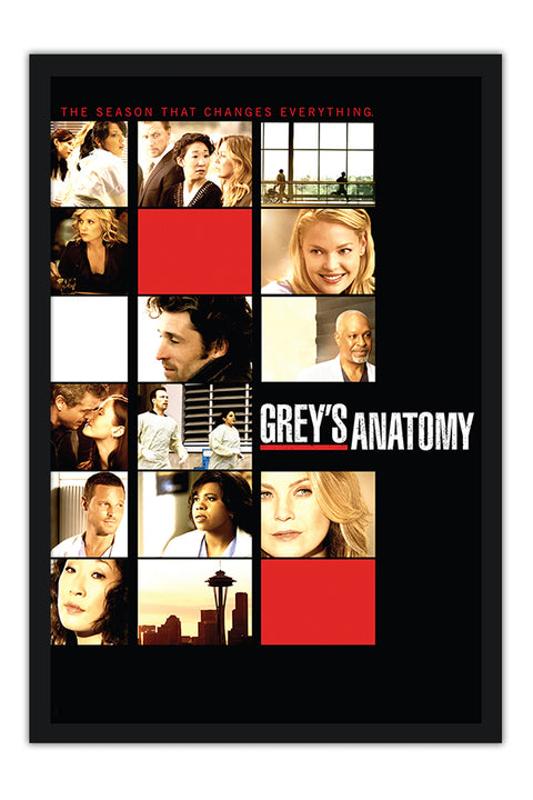Poster Greys Anatomy 6ª Temporada - Séries