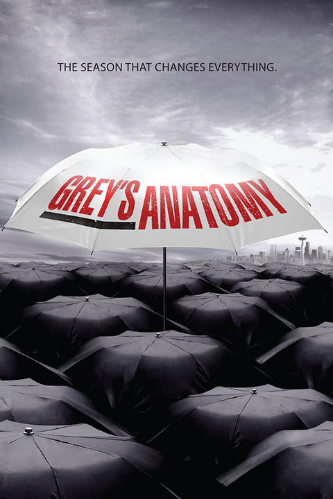 Poster Greys Anatomy 6ª Temporada - Séries