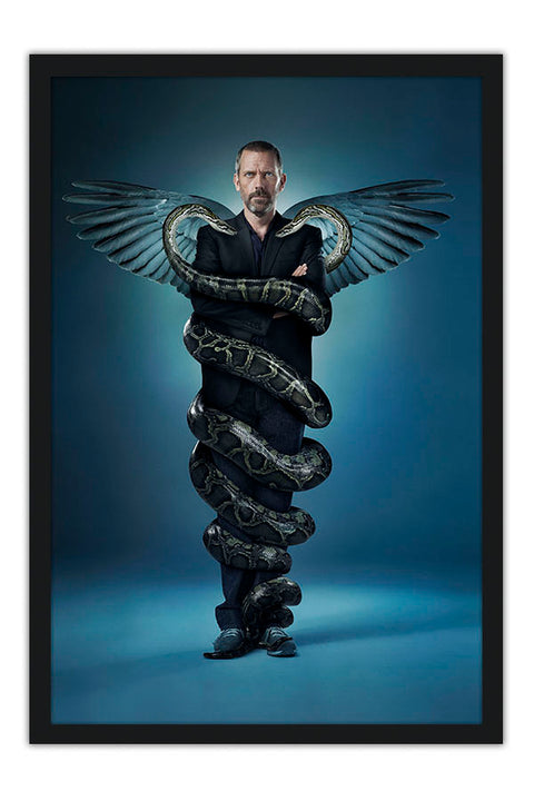 Poster House, M.D. 6ª Temporada - Séries