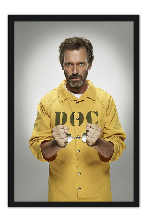 Poster House, M.D. 8ª Temporada - Séries