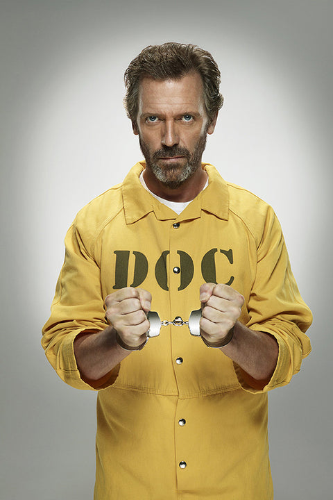 Poster House, M.D. 8ª Temporada - Séries